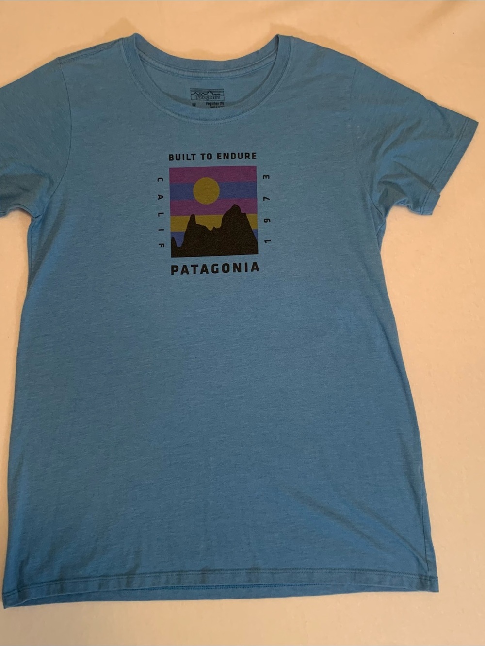 Patagonia Women’s Sky Blue Graphic Short-Sleeve Tee size Medium